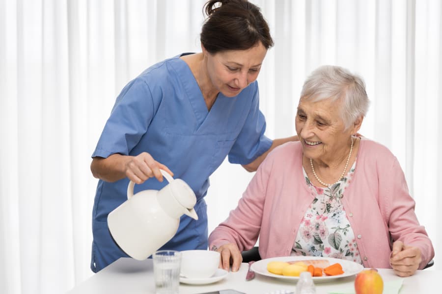 Home caregiver with senior serving meal
